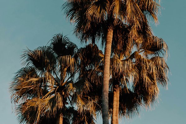 آرایشگاه