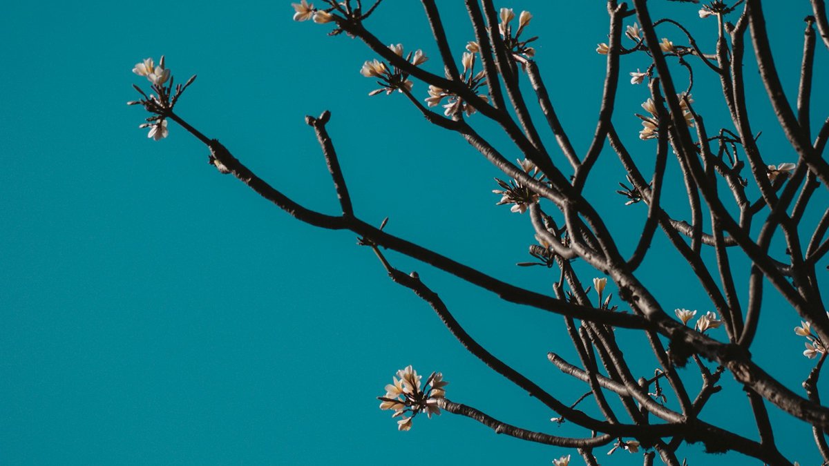 بهترین هدایا برای عید نوروز